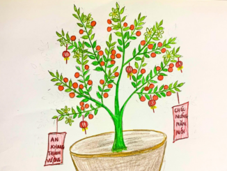 Vẽ cây quất ngày tết